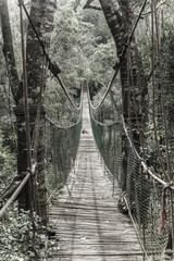 Obraz premium Hanging bridge
