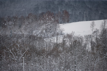 Obraz na płótnie Canvas Zimowy pejzaż z Bieszczad