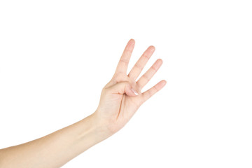 Female's hand on white background.