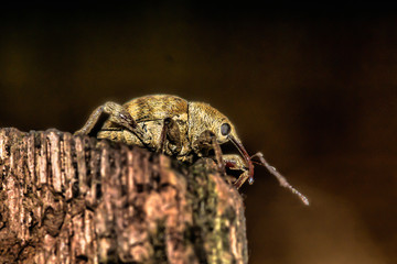 Sometimes, wie come to a point, where the next step is deciding