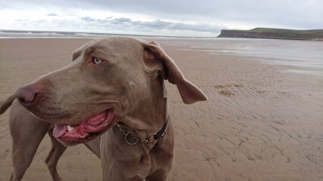 Reggie in Saltburn