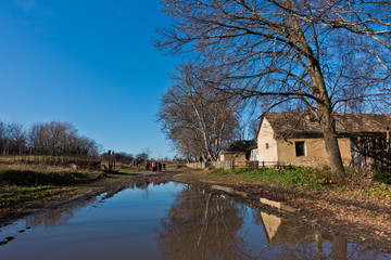 Fototapeta na wymiar Small pond on a trekking path at rural countryside of Deliblatska pescara, Serbia