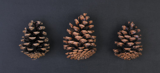 Three fir cones on a black background