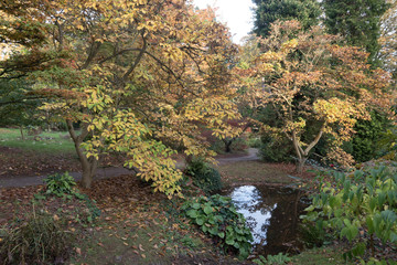 arboretum autumn