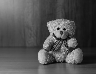 cute teddy bear, a black and white image