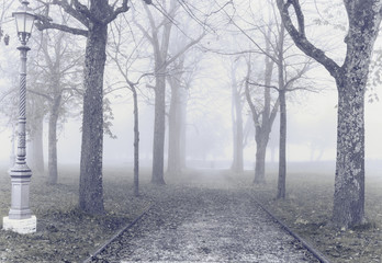 Pathway in a foggy autumn park