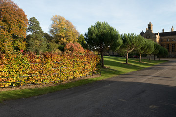 Fototapeta na wymiar arboretum autumn