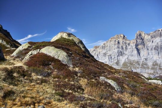 Buckelfelsen am Susten