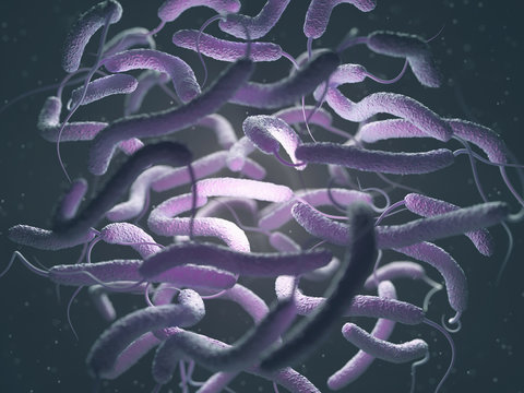 Vibrio Cholerae Bacteria, Gram-negative. 3D illustration of bacteria with flagella.
