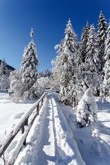 Winter landscape and winter forest near Antholz Lake, South Tirol, Italy.