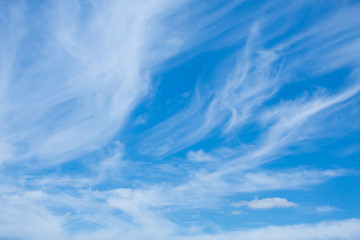 amazing blue sky with stains of clouds