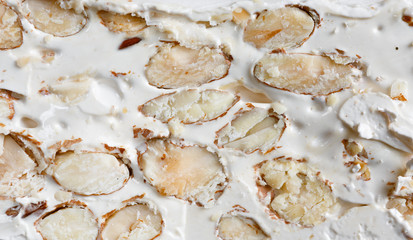 Cross Section of Torrone