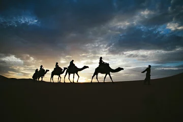 Foto op Plexiglas Silhouette of camel caravan on sand dune with unset © irmoske