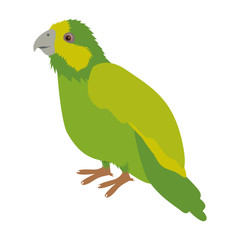 silhouette green parrot animal bird vector illustration