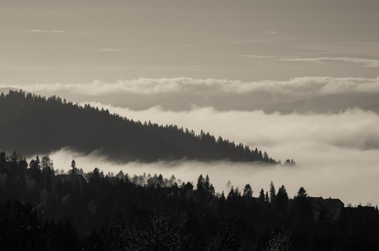 Morning mists in Pieniny mountains, Poland