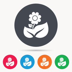 Flower icon. Florist plant with leaf symbol. Colored circle buttons with flat web icon. Vector