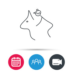 Horseback riding icon. Jockey rider sign. Horse sport symbol. Group of people, video cam and calendar icons. Vector