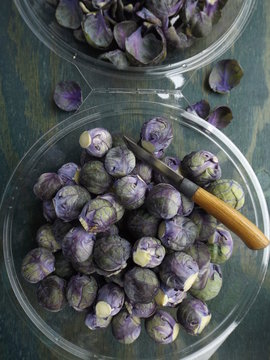 Purple Brussels Sprouts