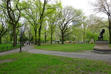 Central Park - obrazy, fototapety, plakaty