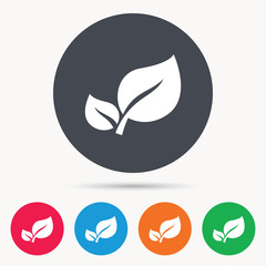 Leaf icon. Fresh organic product symbol. Colored circle buttons with flat web icon. Vector