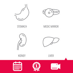 Achievement and video cam signs. Kidney, liver and stomach organ icons. Medical mirror linear sign. Calendar icon. Vector