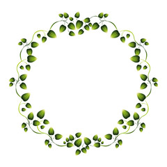 border green leaves with creepers vector illustration