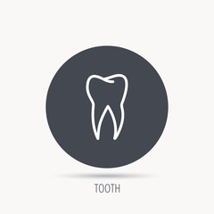 Tooth icon. Dental stomatology sign. Dentistry symbol. Round web button with flat icon. Vector