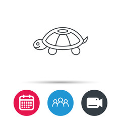 Turtle icon. Tortoise sign. Tortoiseshell symbol. Group of people, video cam and calendar icons. Vector