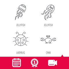 Achievement and video cam signs. Jellyfish, crab and ladybug icons. Ladybird linear sign. Calendar icon. Vector