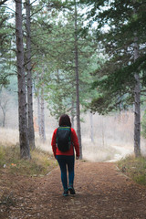 Fototapeta premium Woman hiking in the forest