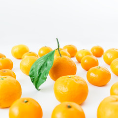 Mandarin. White Background