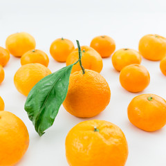 Mandarin. White Background
