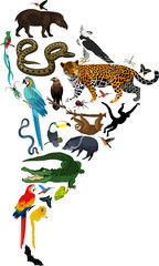animals South America - vector illustration