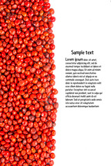 Adenanthera pavonina