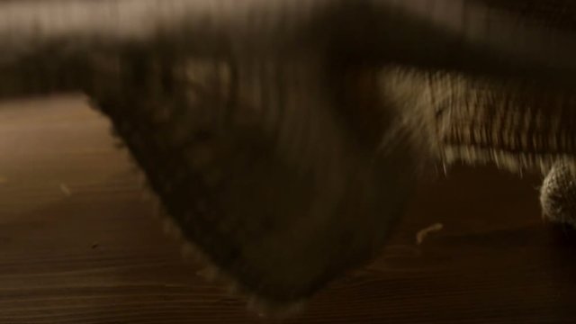 Many fresh potatoes falling and revolving in slow motion. Shot on RED EPIC DRAGON Cinema Camera.