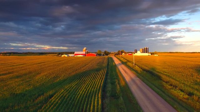 The American Heartland At Sunset. A country road, corn fields, farms and a dramatic sky conspire to make a uniquely beautiful  Midwest landscape.