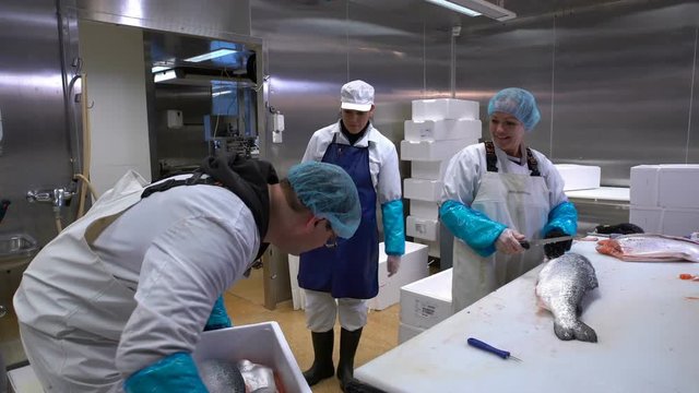 Room For Cutting Fish At The Fish Factory. Workers Bring And Slicing Salmon.