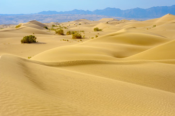 dunes of a desert part of Iran