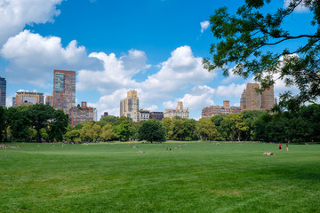 The Sheep Meadow at Central Park in New York City on a summer day