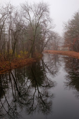 Fog at the Bend