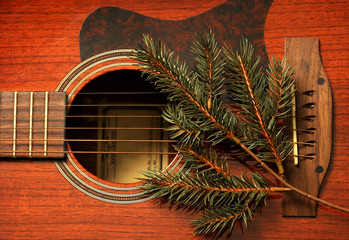Guitar with twig
