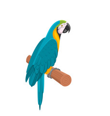 Fototapeta premium Pretty Blue Parrot Ara on Branch. Bird Isolated on White Background