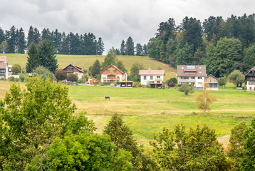 Scene of black forest in Germany