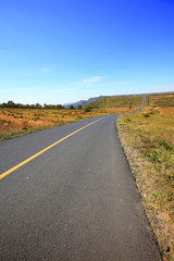 Fototapeta na wymiar asphalt road on grassland