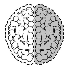 Brain icon. Human organ mind and science theme. Isolated design. Vector illustration