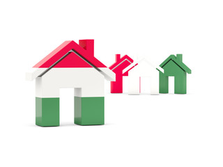 Flag of hungary, home icon