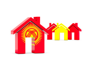 Flag of kyrgyzstan, home icon