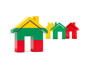 Flag of lithuania, home icon