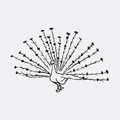 Hand-drawn pencil graphics, peacock bird. Engraving, stencil style.  - 128421169