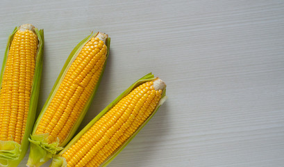 fresh corn and a billboard with a natural and simple design, please use with your needs